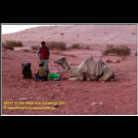18033 12 159 Wadi Rum Jordanien 2011.jpg